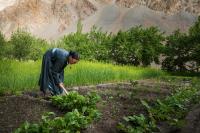 Domkhar Eco Homestay - B&B Dumkhar