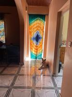 Quiet bungalow in tranquil area - B&B Kotu