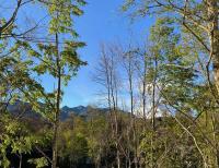 Apartamento Vista Bosque y Cordillera - Ferienwohnung Pucón