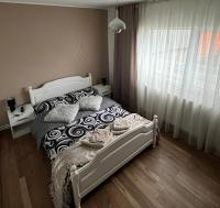 Cozy Apartment - Bed and Breakfast Buzău