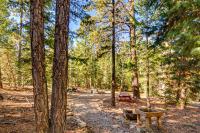 Near National Parks: Duck Creek Cabin Retreat - Bed and Breakfast Duck Creek Village