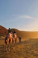 El MOJA SURFHOUSE - Bed and Breakfast Sidi Ifni