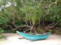 Sleepy Head Guesthouse - Chambres d’hôtes Unawatuna