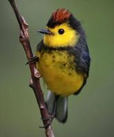 Appartement 4 Chambres