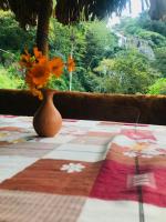 Ella Jungle Rock - B&B