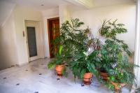 Luxury apt near the airport N2 - Chambres d’hôtes Spáta