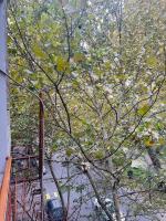 Premium apartament with balcony - B&B