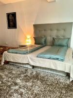 Vitosha Blvd Spacious and Quiet Apartment in Gallery - B&B Sofia