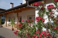 Kampflhof Apartments - B&B Scena