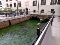 Suite Latina - San Leonardo - Ferienwohnung Treviso