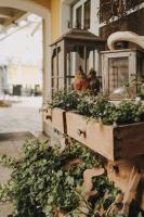 Hotel Pension Futterknecht - Chambres d’hôtes Burgau