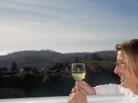 Lina's Ferienwohnungen - zwei moderne FeWos mit Sauna im Haus und fantastischem Ausblick - Bed and Breakfast