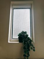 3bed house Haeundae - Ferienwohnung