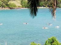 Surf Paradise - B&B