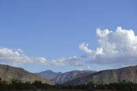 King Room with Garden View
