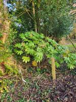 Beech Lodge Garden View Studio Apartment - B&B Goff’s Bridge