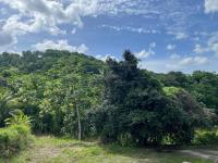 Choupchoup Jeux de Société 972 - B&B Morne la Valeur