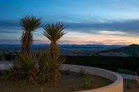 The Sowe Joshua Tree - B&B Joshua Tree