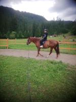 Casa din Curtea cu cai - B&B Borsec