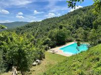 Il Castellare con alpaca - B&B Poggioni