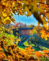 Treedom - Ferienwohnung Prievidza