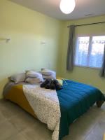 T3 Gîte le Canigou - B&B Trévillach