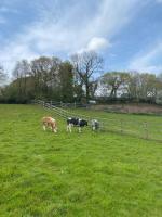 Coach House St Wenn - B&B Bodmin