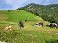 Apartment - Alpin Chalet Frenademetz - B&B San Martino in Badia