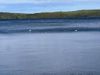 Stunning 4bedroom Lake house ! - B&B Manitowaning