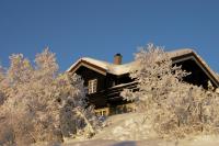 Large Cabin with Stunning Views! - B&B Beitostølen