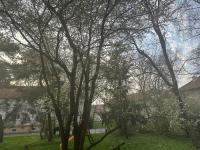 Stylish 2 Bedroom in Nitra Centre, free parking - B&B