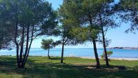 MY DALMATIA - Sea view apartment Privlaka with free private parking - Chambres d'hôtes Privlaka