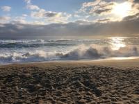 EDEN CATALAN climatisé 5 personnes meublé tourisme "GITES DE FRANCE" à 80 metres de la plage - Chambres d'hôtes Argelès-sur-Mer