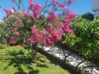 Apartments Mira Krk - B&B Krk