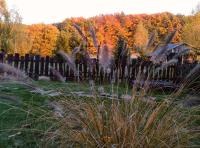 Małopolskie Swojskie - Bed and Breakfast Olszyny