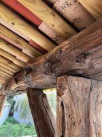 appartement de standing avec jacuzzi exterieur - Chambres d’hôtes Zonza