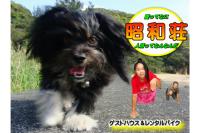 Amami Guest House showa-so - B&B Setouchi