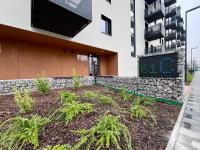 Superior Apartment with Balcony