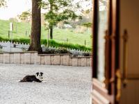 Little White Chapel Maleny - B&B Maleny