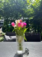 Luxus I Wohnküche I Garten I Terrasse I Parkplatz - B&B Fürth