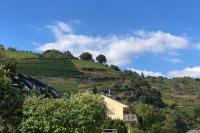 Rheinloge - B&B Oberwesel