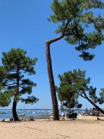 Villa Rose des Sables - Bed and Breakfast Andernos-les-Bains