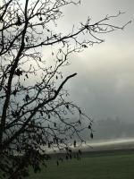 außergewöhnliches loft in ehemaligem stallgebäude - Chambres d’hôtes Senftenbach