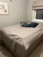 Northen Light, Aurora - B&B Tromsø