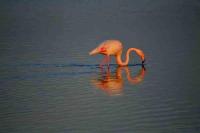 Studio vue Mer - Ferienwohnung Palavas-les-Flots