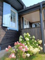 Siedlisko Brzozowe - B&B
