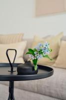 Apartment A3 - mit überdachter Terrasse, zwei Schlafzimmern & zwei Bädern im "Pine Hill Resort" - Ferienwohnung Zirchow