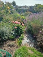 Comfortable home on South Hill - B&B Oamaru