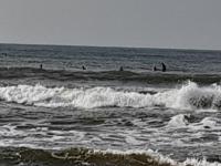 Rasana Breezt Villa - B&B Matara