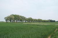 Tenuta La Fiscala - B&B Alessandria